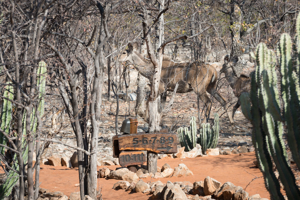 Ongava Tented Camp - All-Inclusive Okaukuejo Buitenkant foto